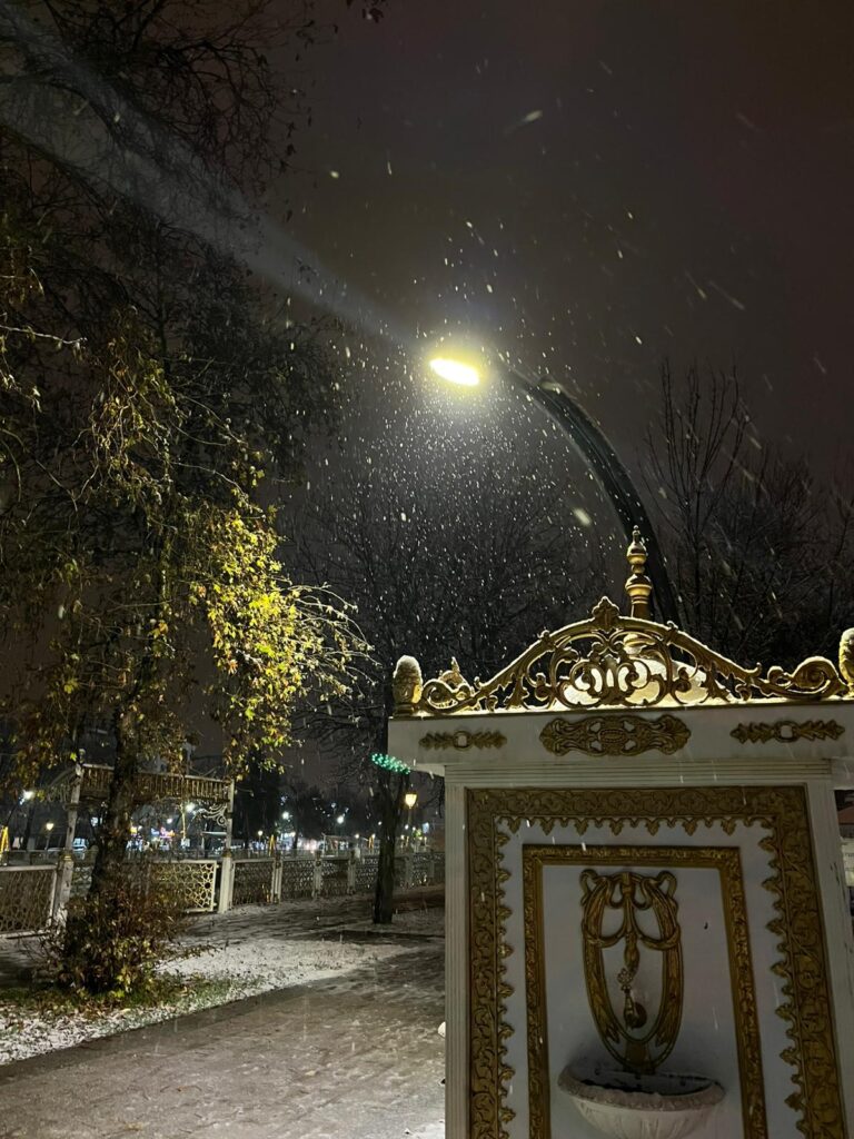 whatsapp image 2026 01 02 at 20.58.33